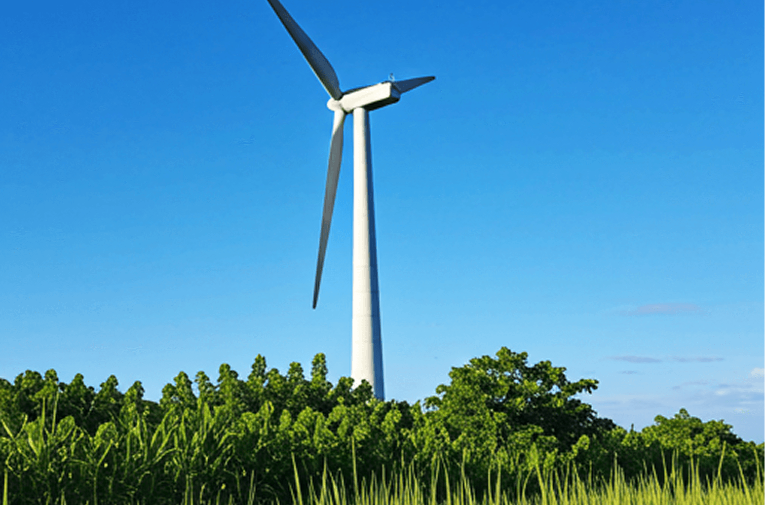 Wind Power